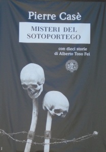 Banner - "Misteri del Sotoportego" (c)2011 R.D.Bosch